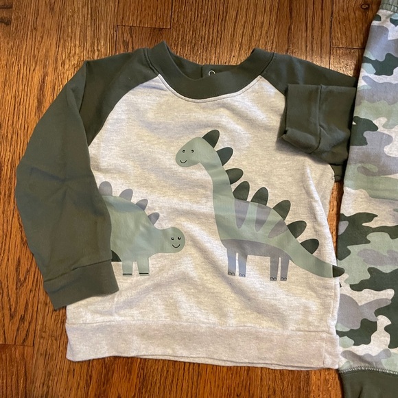 Dinosaur Matching Set - Picture 2 of 3